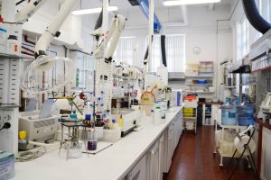 IST__photos__DSC1115