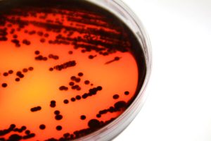 IST__photos__DSC2607