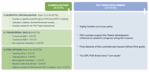Técnico Lisboa - PhD Curriculum